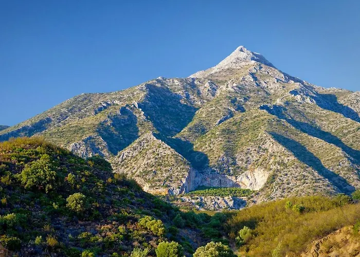 Five Star Housing Puerto Banus By Better Bookings * Marbella